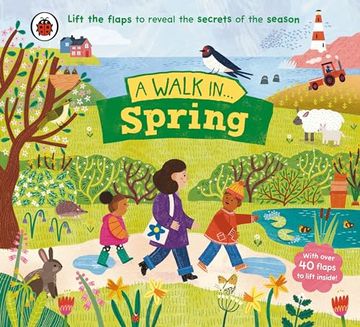 portada A Walk in Spring: Lift the Flaps to Reveal the Secrets of the Season (en Inglés)