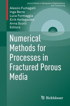 portada Numerical Methods for Processes in Fractured Porous Media (en Inglés)