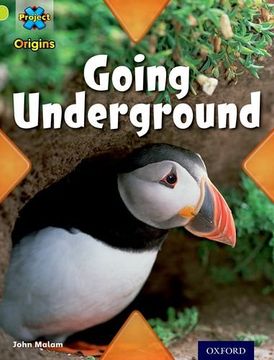 portada Project X Origins: Lime Book Band, Oxford Level 11: Underground: Going Underground