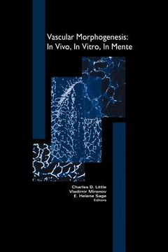 portada vascular morphogenesis: in vivo, in vitro, in mente