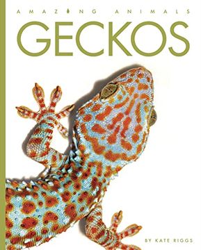 portada Geckos (Amazing Animals) (en Inglés)