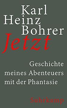 portada Jetzt: Geschichte Meines Abenteuers mit der Phantasie (Suhrkamp Taschenbuch, Band 4877) (en Alemán)