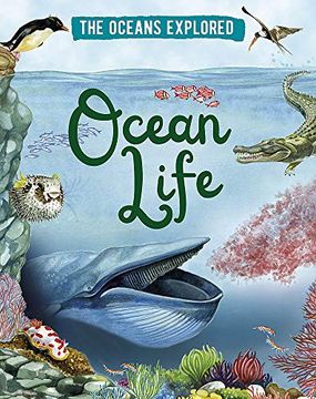 portada Ocean Life (The Oceans Explored) (en Inglés)