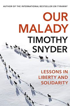 portada Our Malady: Lessons in Liberty Health and Solidari: Lessons in Liberty and Solidarity (in English)