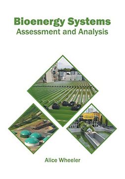 portada Bioenergy Systems: Assessment and Analysis 