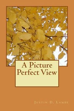 portada A Picture Perfect View (in English)