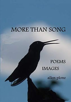 portada More Than Song: Poems & Images (en Inglés)