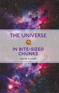 portada The Universe in Bite-Sized Chunks (en Inglés)
