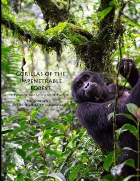 portada Gorillas of the Impenetrable Forest: The Mountain Gorillas of Bwindi (en Inglés)