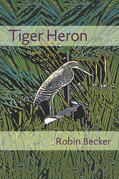 portada Tiger Heron