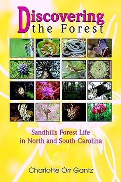 portada discovering the forest: sandhills forest life in north and south carolina (en Inglés)