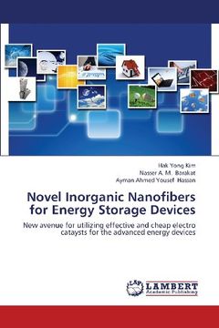 portada Novel Inorganic Nanofibers for Energy Storage Devices