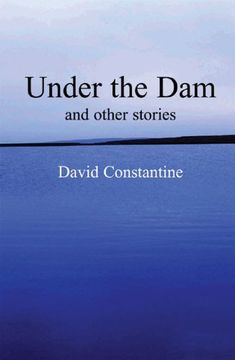 under the dam: and other stories (en Inglés)