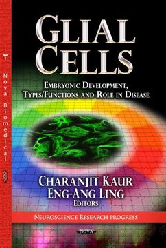 portada Glial Cells: Embryonic Development, Types (en Inglés)