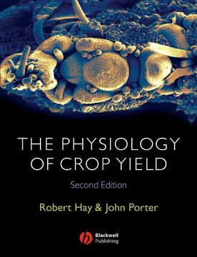 the physiology of crop yield