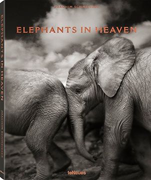 portada Elephants in Heaven (en Inglés)