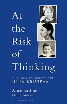 portada At the Risk of Thinking: An Intellectual Biography of Julia Kristeva (Psychoanalytic Horizons) (in English)