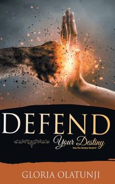 portada Defend Your Destiny: Stop the Destiny Stealer!! (en Inglés)