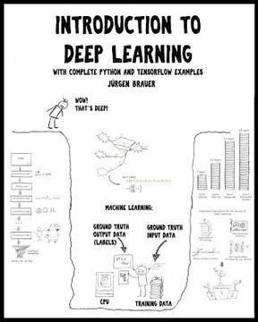 portada Introduction to Deep Learning: with complete Python and TensorFlow examples (en Inglés)
