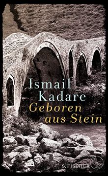portada Geboren aus Stein: Ein Roman und Autobiographische Prosa (en Alemán)