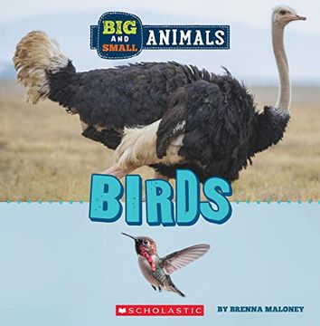 portada Birds (Wild World: Big and Small Animals) (in English)