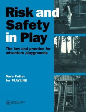 portada Risk and Safety in Play (in English)