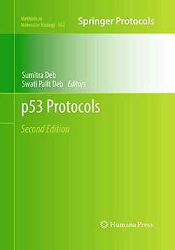 portada P53 Protocols (Methods in Molecular Biology, 962) (en Inglés)