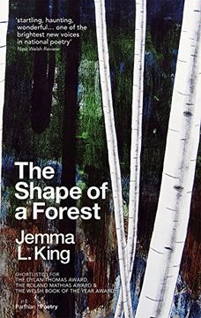 portada The Shape of a Forest 