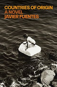 portada Countries of Origin: A Novel (en Inglés)