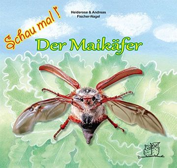 portada Der Maikäfer (Schau Mal! ) (en Alemán)