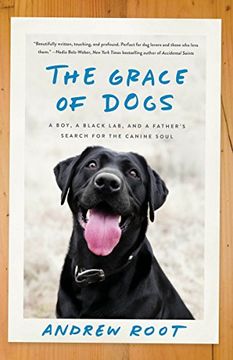 portada The Grace of Dogs: A Boy, a Black Lab, and a Father's Search for the Canine Soul (in English)