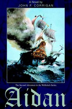 portada aidan: the second adventure in the wellstitch series (en Inglés)