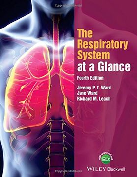 portada The Respiratory System at a Glance