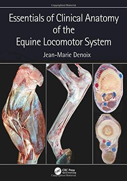 portada Essentials of Clinical Anatomy of the Equine Locomotor System (en Inglés)