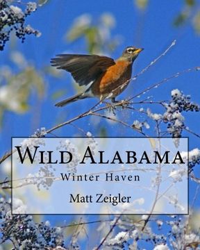 portada Wild Alabama: Winter Haven