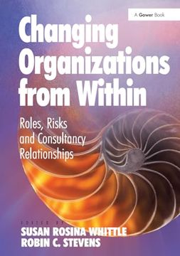 portada Changing Organizations From Within: Roles, Risks and Consultancy Relationships (en Inglés)
