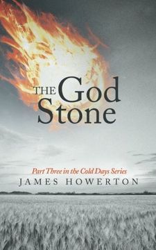 portada The god Stone: Part Three in the Cold Days Series (en Inglés)