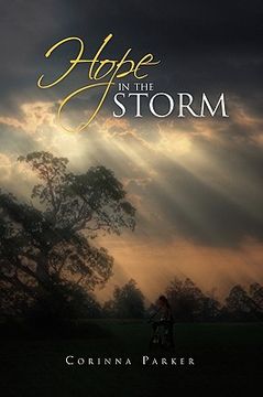 portada hope in the storm (en Inglés)