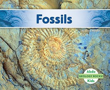 portada Fossils (Geology Rocks!)