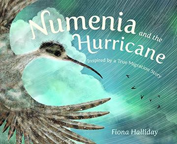 portada Numenia and the Hurricane: Inspired by a True Migration Story 