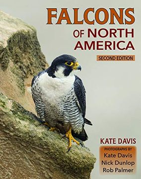 portada Falcons of North America (en Inglés)