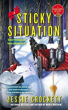 portada A Sticky Situation (Sugar Grove Mystery) (in English)