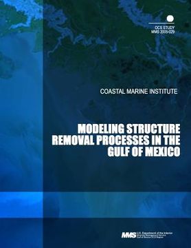 portada Modeling Structure Removal Processes in the Gulf of Mexico (in English)