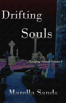 portada Drifting Souls (in English)