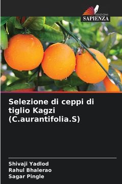 portada Selezione di ceppi di tiglio Kagzi (C.aurantifolia.S) (en Italiano)