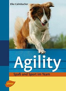 portada Agility: Spaß und Sport im Team (en Alemán)