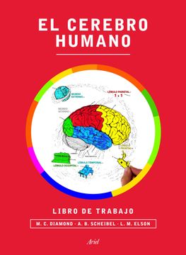 portada El Cerebro Humano: Libro de Trabajo