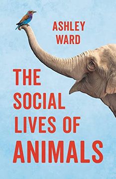 portada The Social Lives of Animals (in English)