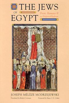 portada the jews of egypt: from ramses ii to emperor hadrian (en Inglés)