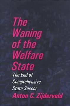 portada the waning of the welfare state (in English)